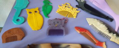 Expositie van Haarkammen